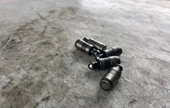 Audi A8 S8 D3 4E Tappets lifter 