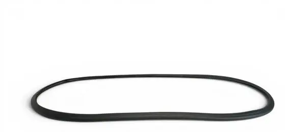 Renault Symbioz Front door rubber seal 808328533R 55548