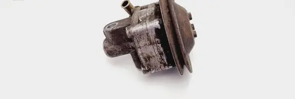 Fiat Tipo Power steering pump 7681955108 0803155
