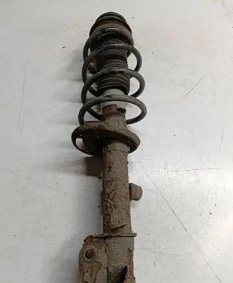 Suzuki SX4 S-Cross Front shock absorber with coil spring AWFAW3F215841