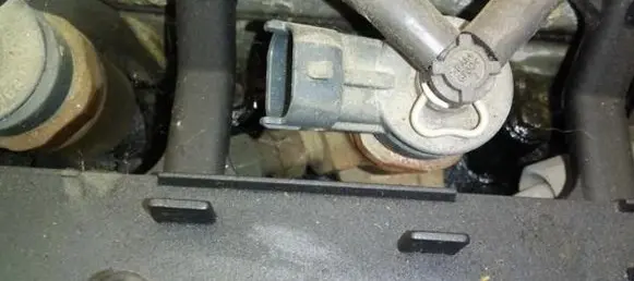 Citroen C3 Fuel injector 0445110075 9641496180