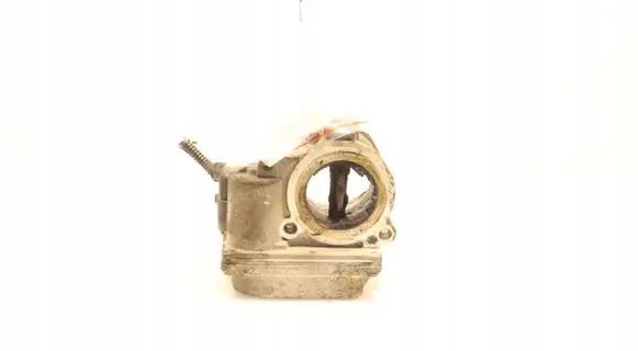 Skoda Roomster (5J) Throttle body valve 