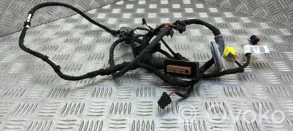 Audi Q5 SQ5 Front door wiring loom 8R0971030BG