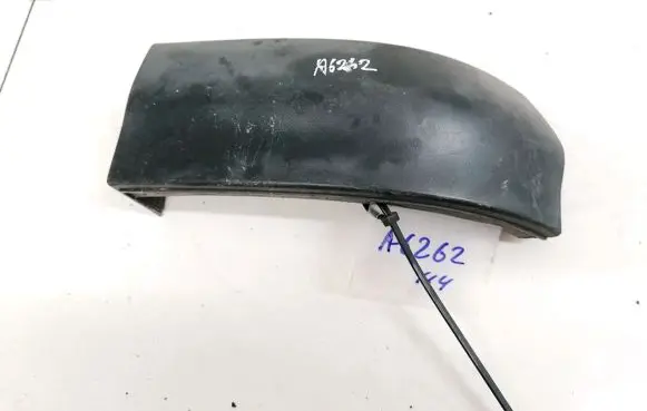 Rear/tail light trim molding