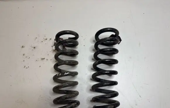 Dodge Charger Rear coil spring 8900AC