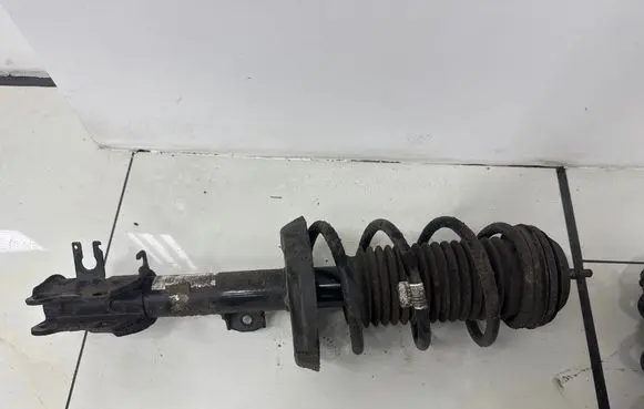 Opel Corsa E Front shock absorber with coil spring 22283524