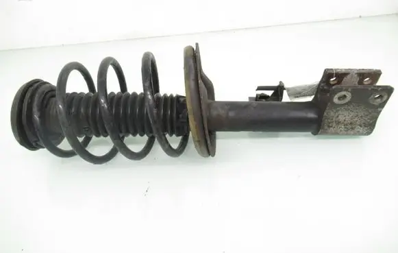 Peugeot 307 Front shock absorber with coil spring