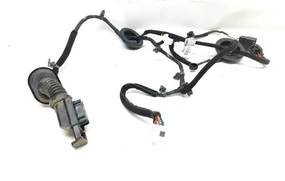 Rear door wiring loom