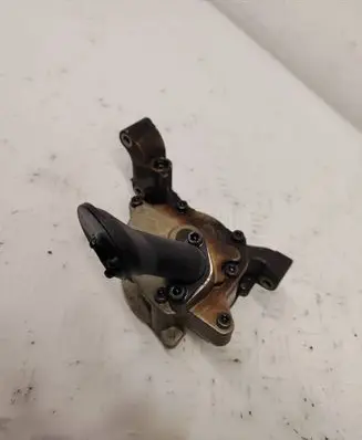 Volkswagen Golf Plus Oil pump 113670201