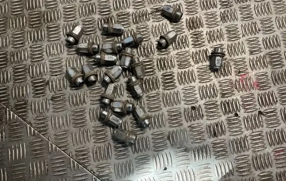 Toyota RAV 4 (XA20) Wheel nut cap/cover 