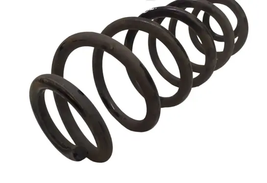 Rear coil spring