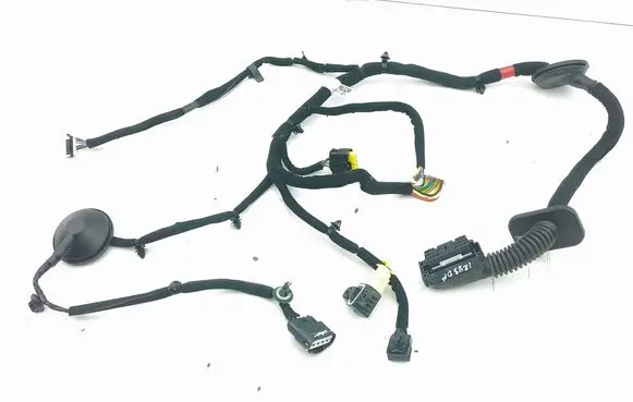 Front door wiring loom