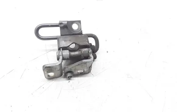 Volkswagen Jetta V Rear door lower hinge 1K4833411K