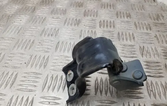 Volkswagen PASSAT B7 Tailgate/trunk/boot hinge 3C9827301D