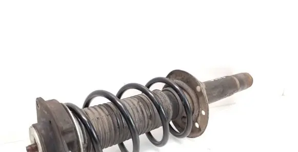 Skoda Octavia Mk2 (1Z) Front shock absorber with coil spring