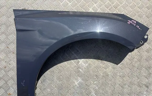 Ford Focus Fender