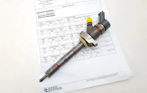 Citroen C5 Fuel injector 0445110259