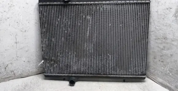 Citroen Xsara Picasso Coolant radiator 9646528480