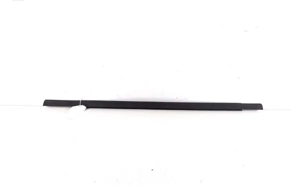 Dodge Journey Rear door trim (molding) 05076858AC