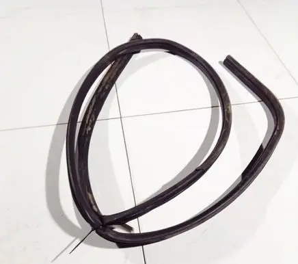 Ford Focus C-MAX Rubber seal front coupe door 