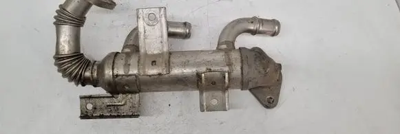 Skoda Roomster (5J) EGR valve cooler 038131513K