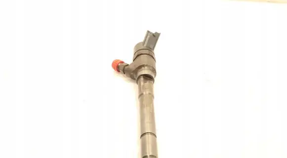 Chevrolet Captiva Fuel injector