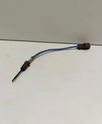 Exhaust gas temperature sensor