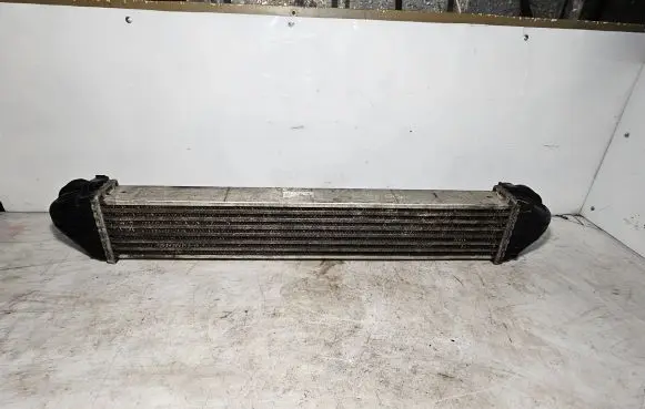 Mercedes-Benz A W169 Intercooler radiator A1695000000