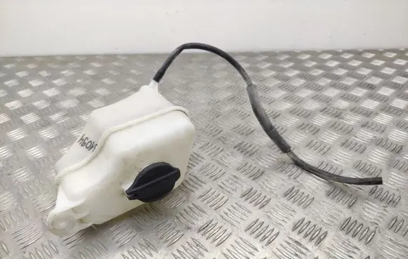 Hyundai Santa Fe Coolant expansion tank/reservoir 254302W000