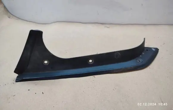 Rear/tail light trim molding