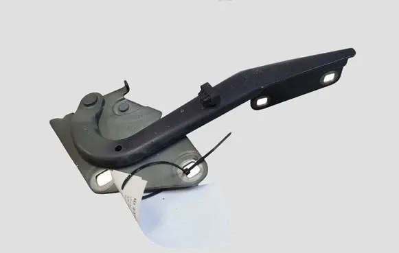 Renault Megane III Engine bonnet/hood hinges 654000003R