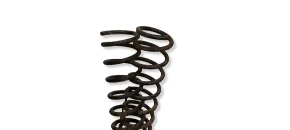 Ford Focus Rear coil spring 