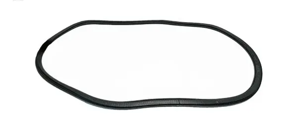 Rear door rubber seal (on body)