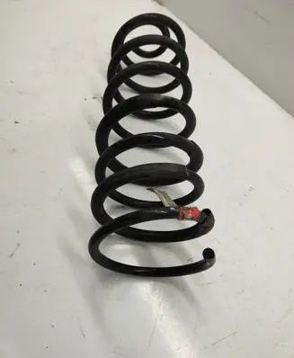 Rear coil spring