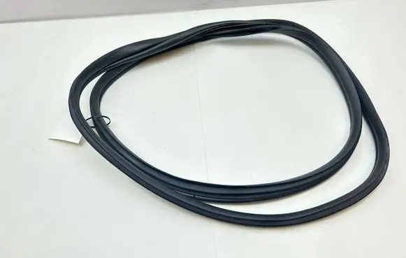 Hyundai Ioniq 5 Rear door rubber seal (on body) 