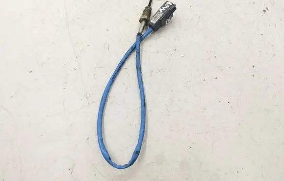 Exhaust gas temperature sensor