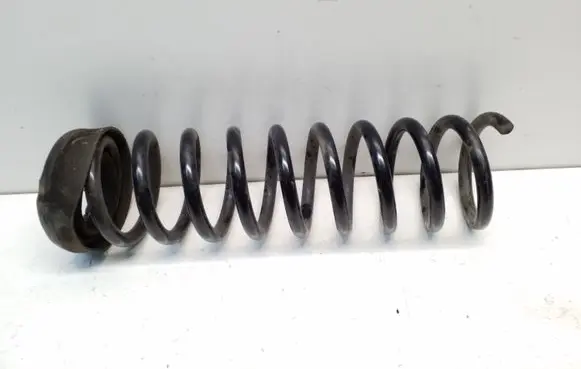 Rear coil spring