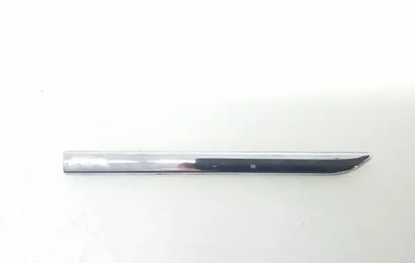 Fender trim (molding)