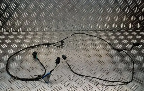 Renault Laguna III Parking sensor (PDC) wiring loom 20103463