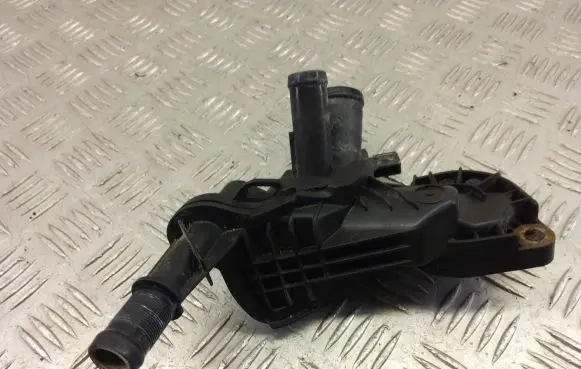 Thermostat/thermostat housing