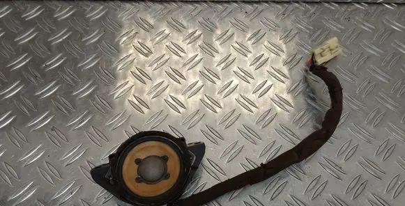 Panel speaker