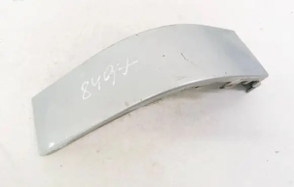 Rear/tail light trim molding