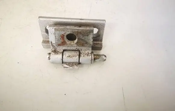 Volvo V70 Rear door lower hinge 