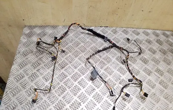 Other wiring loom