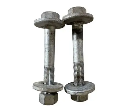 Porsche Cayenne (92A) Front suspension camber bolt 