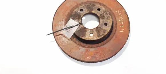 Nissan Qashqai Front brake disc ventiliuojamas
