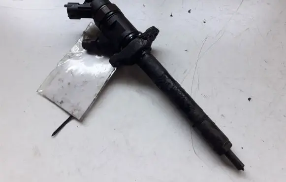Peugeot 207 Fuel injector 0445110311