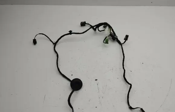 Mercedes-Benz B W246 W242 Front door wiring loom A2465402005