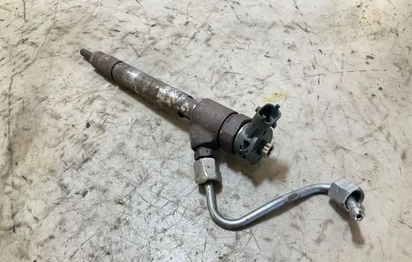 Peugeot Partner III Fuel injector 0445110955 9828959880