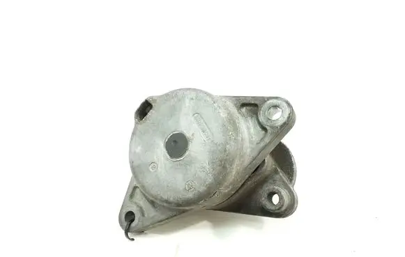 Mercedes-Benz CL C215 Timing belt/chain tensioner A1122000970